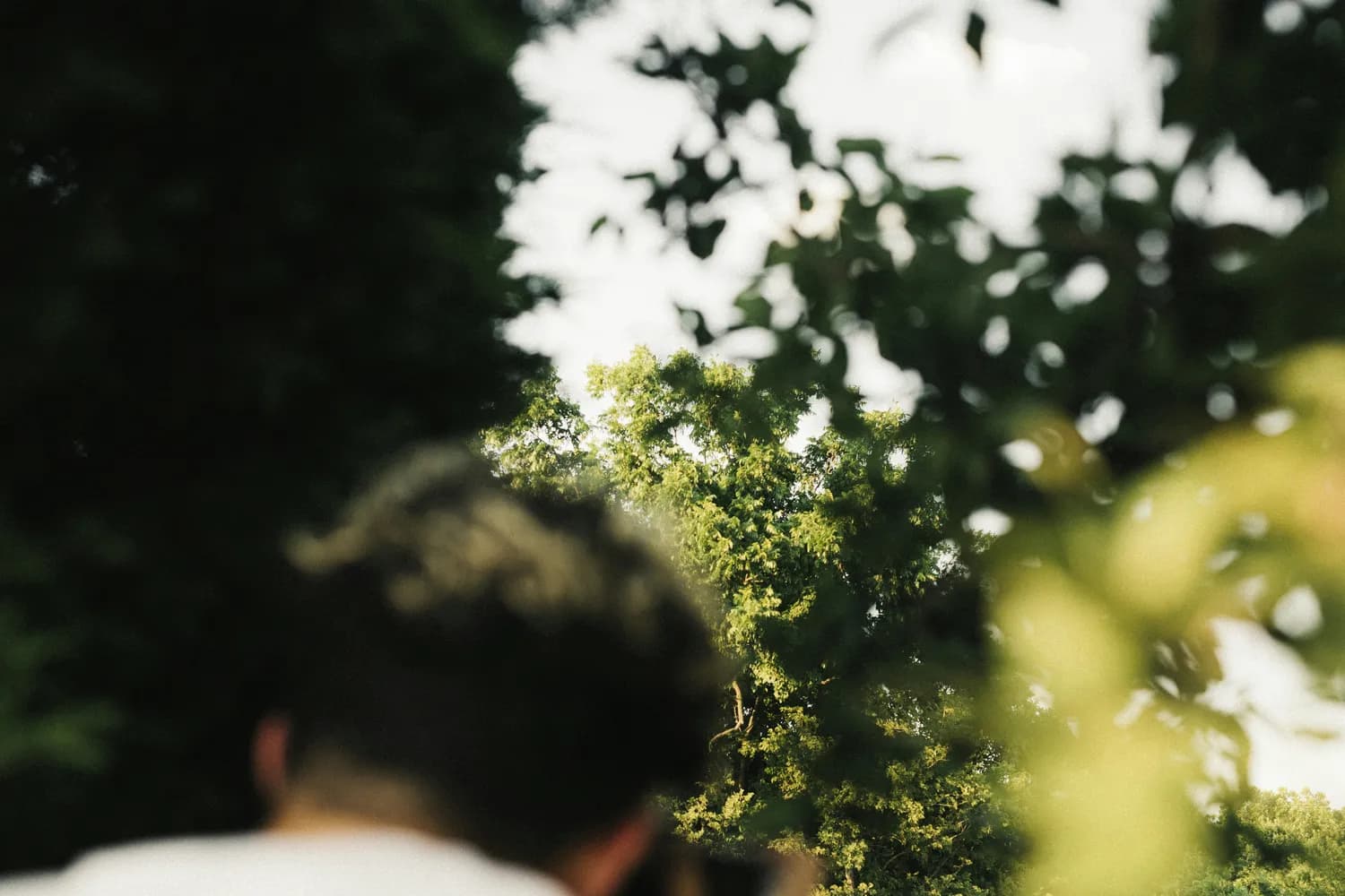 王源《夏野了》：一张值得细品的年度高分专辑
