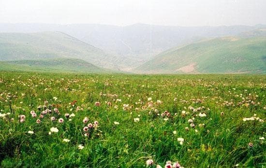 高原山地性气候