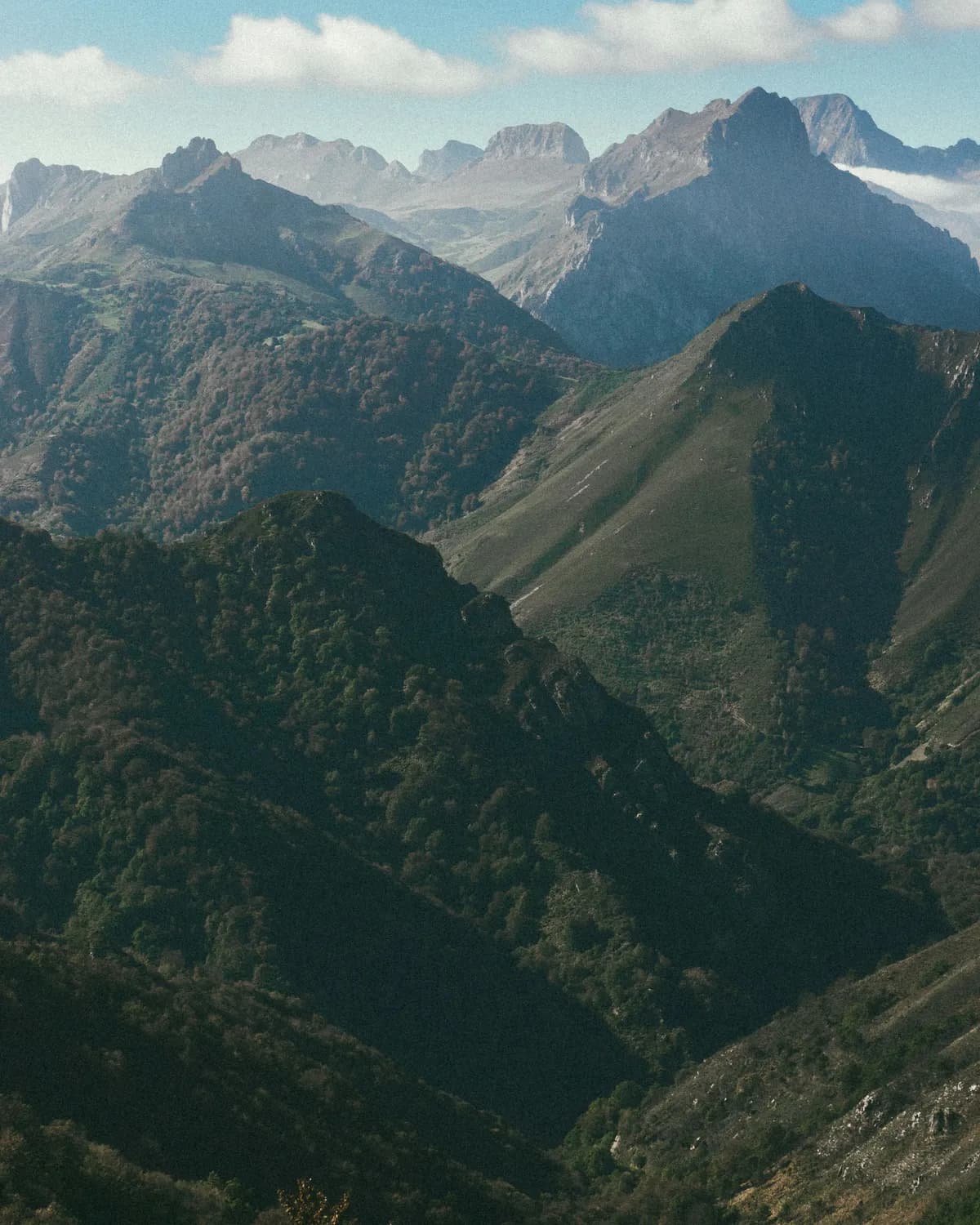 郴州莽山：南岭明珠，四季皆景
