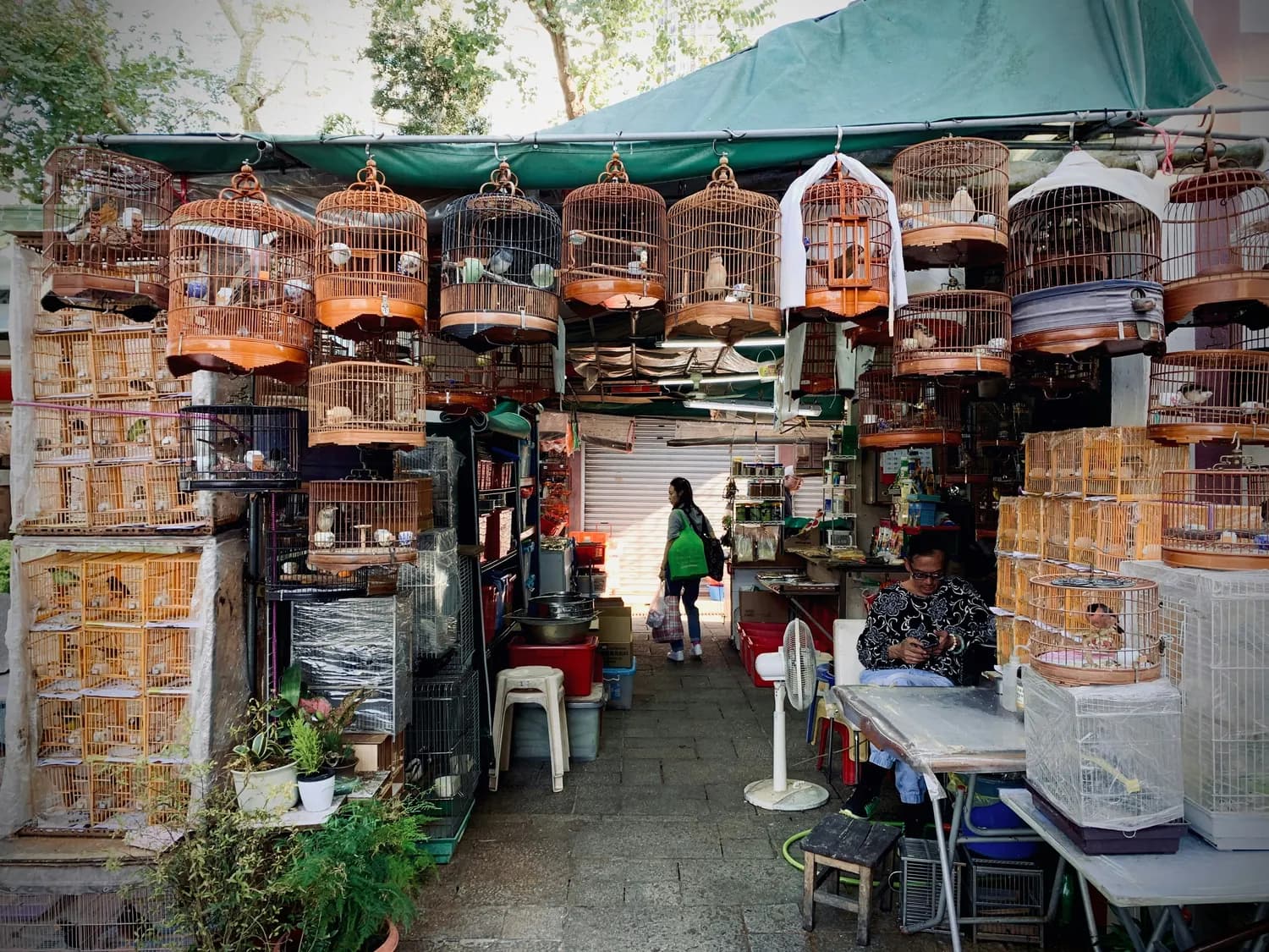 温州春节集市全攻略：年味、汉服、美食应有尽有！