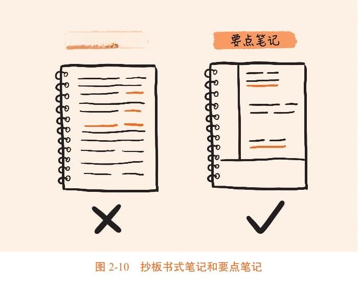 康奈尔笔记法走红全网，专家详解其科学依据与使用方法