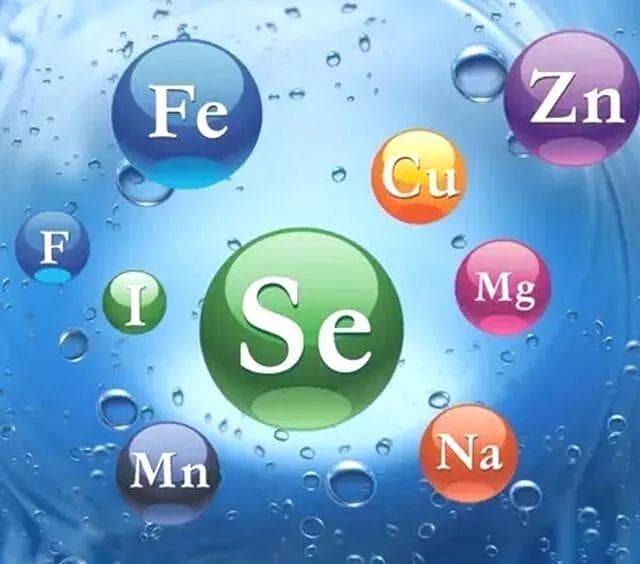 身边有什么科学？身边处处是科学：你从未注意到的奇妙世界!
