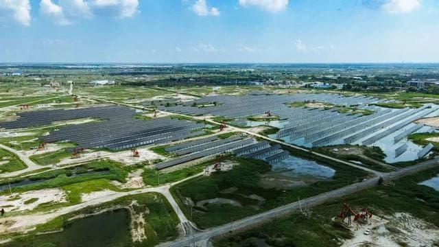 大庆油田加速构建绿色低碳发展新格局