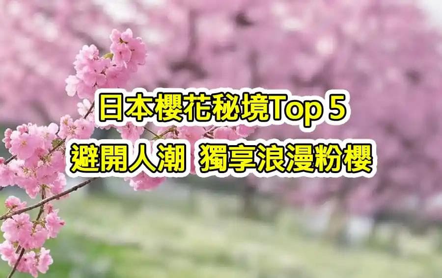 日本樱花秘境Top 5：避开人潮，独享浪漫粉樱