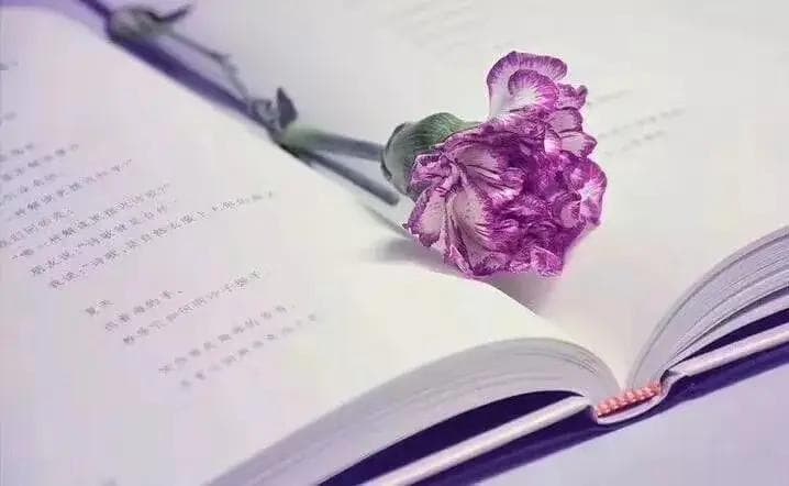 《非暴力沟通》：四个原则，让你学会爱的表达方式