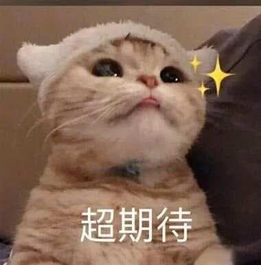 时间针灸——飞腾八法