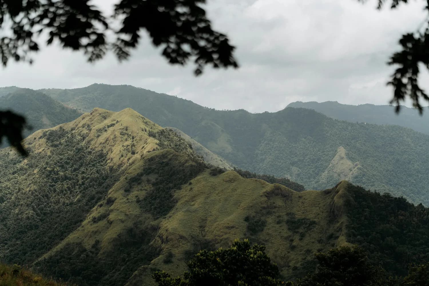 广西十万大山“土匪洞”：一段被遗忘的剿匪历史