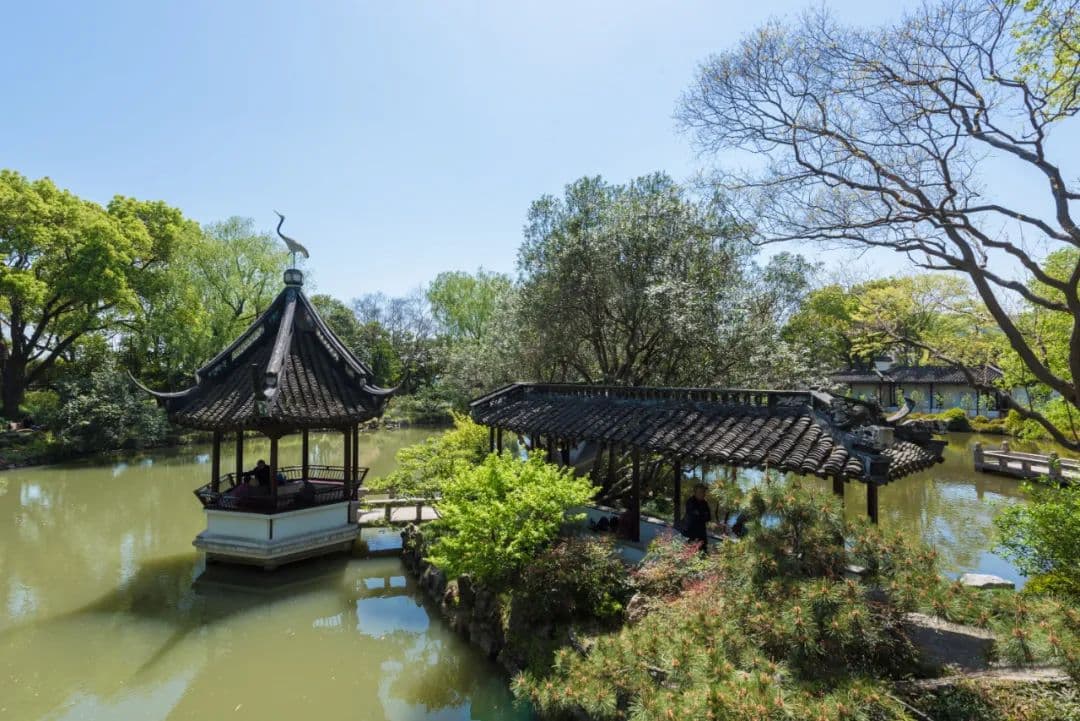 上海8个高颜值的古风打卡地，解锁中式浪漫，周末可以安排起来！