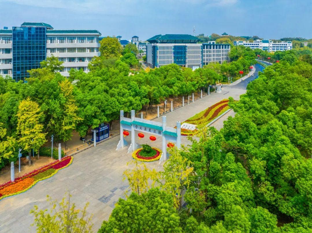 在武大养樱花是一种什么体验？