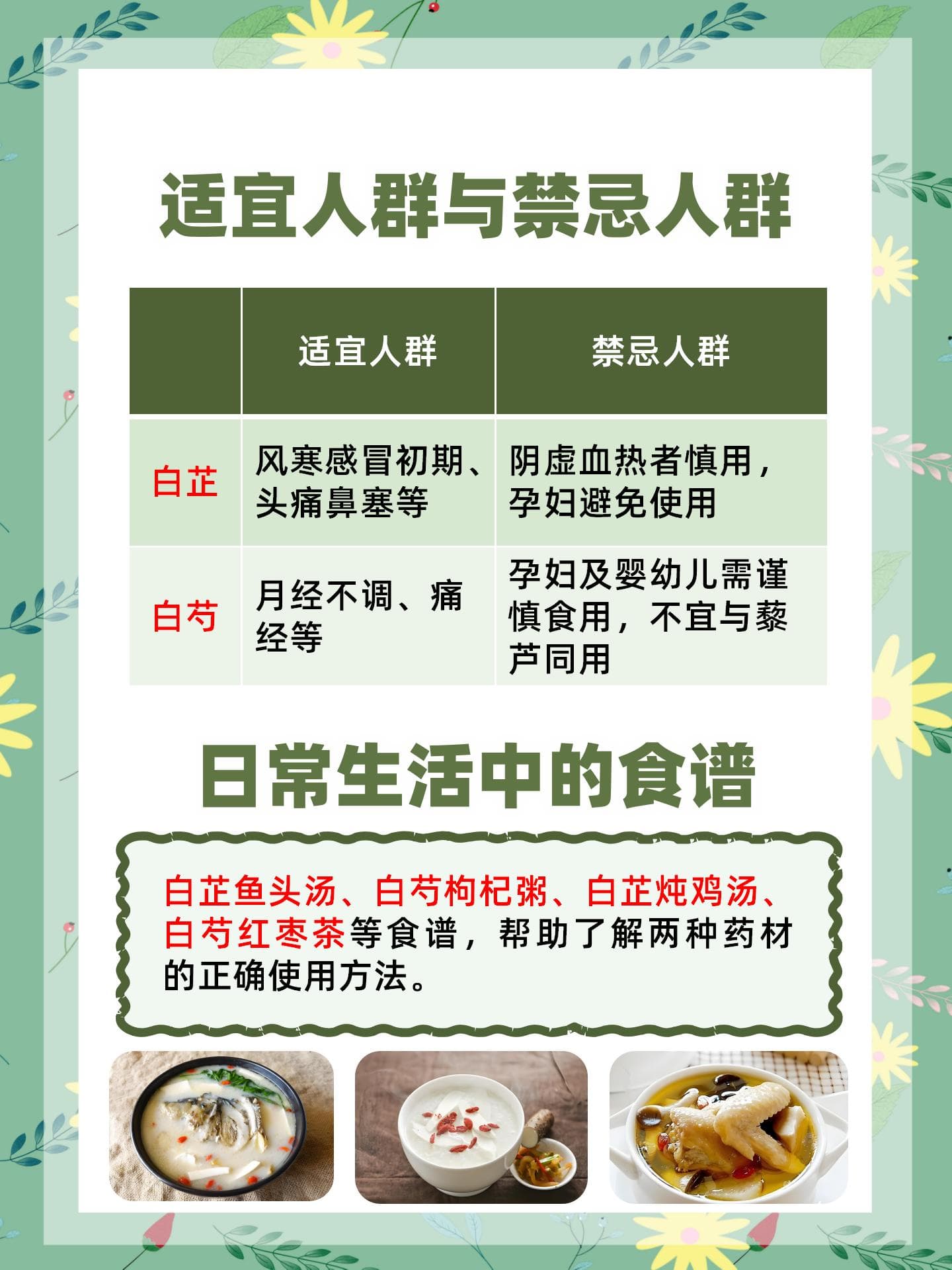 白芷VS白芍：差异解析