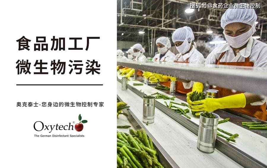 出口食品蜡样芽孢杆菌污染？一站式高效解决方案！