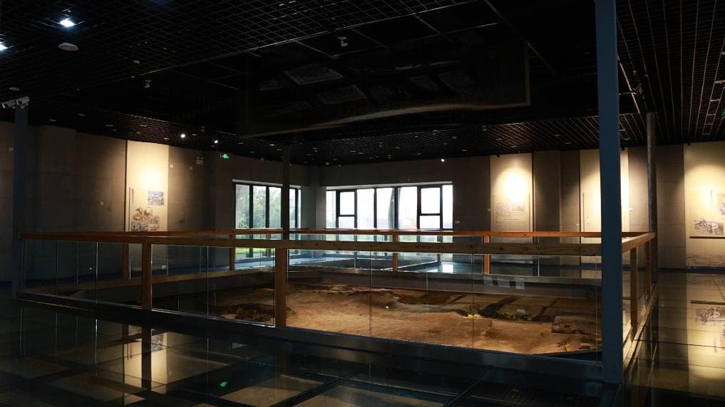 问记者丨昙石山遗址和福建海洋文化有何关联？