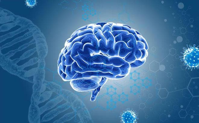 抑制脑转移！南方医科大学：发现脑转移肿瘤治疗新策略