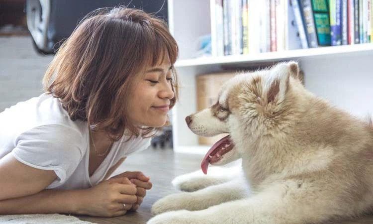 如何以积极心态面对工作中的挑战和压力？