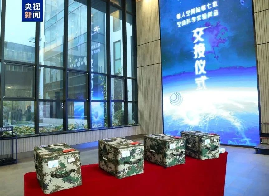 太空“出差”的斑马鱼，回来了！