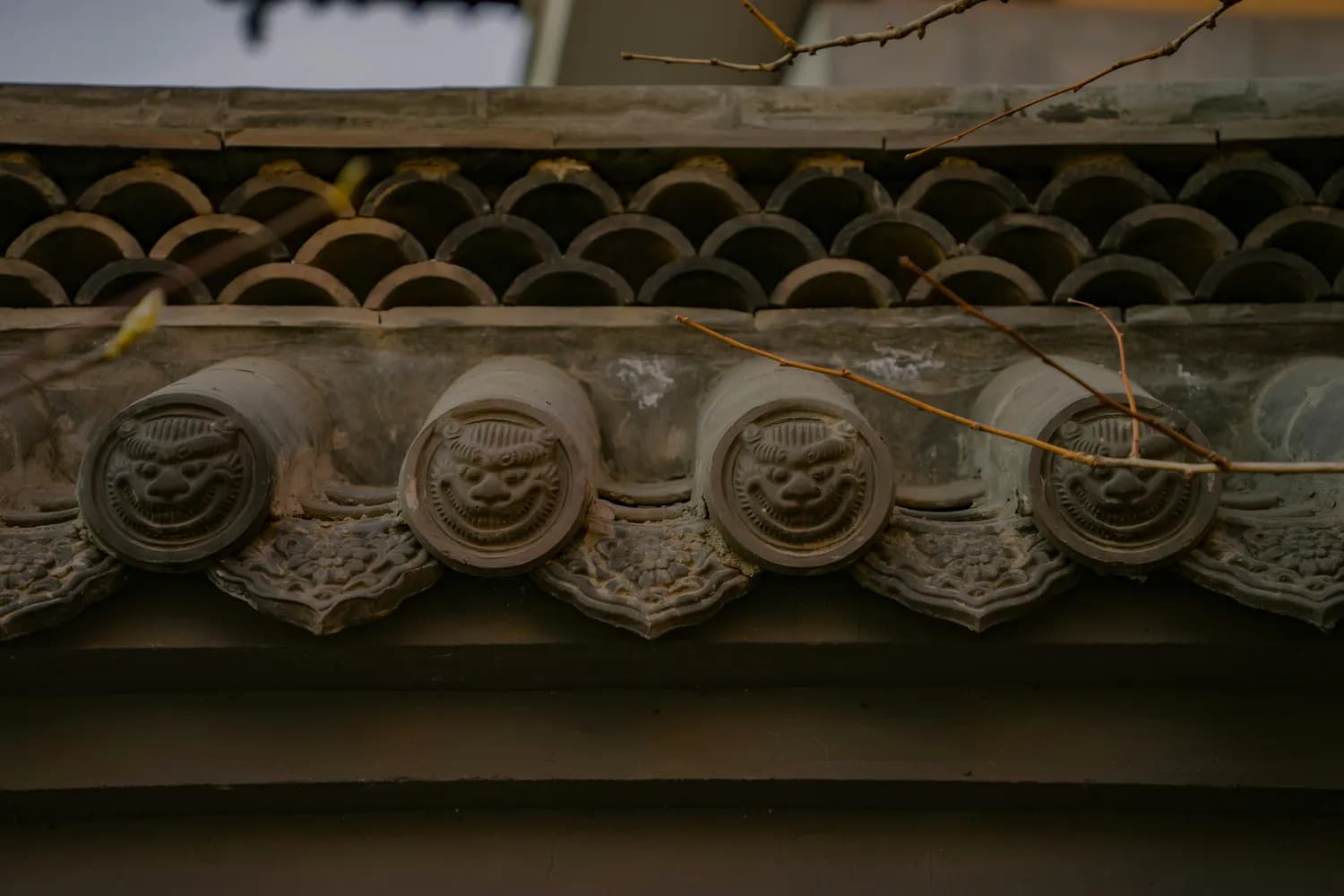 蝙蝠竟是“福气”代言人？