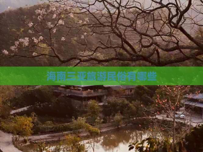 海南三亚旅游民俗有哪些
