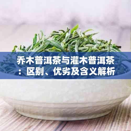 乔木普洱茶与灌木普洱茶：区别、优劣及含义解析