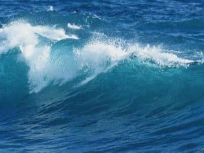 他山之石｜荷兰治水之道：从“与水斗争”到“与水共生”