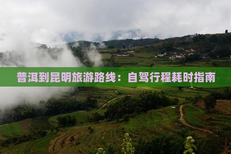 普洱至昆明自驾攻略：460公里热带雨林茶园穿越