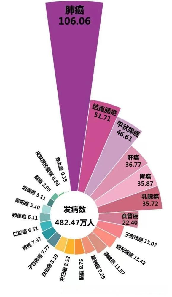 国际肺癌日——了解肺结节，守护肺部健康