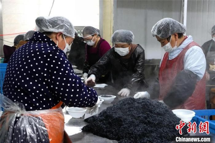 浙江金华：乌饭八宝饭里的非遗年味