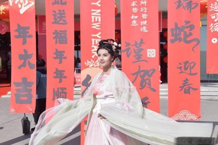 中外友人安徽合肥体验徽韵年味