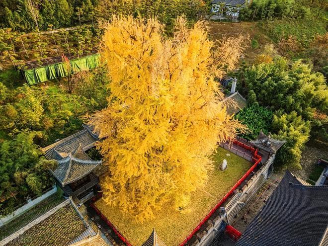 陕西十大秋景打卡地：从千年银杏到斑斓红叶