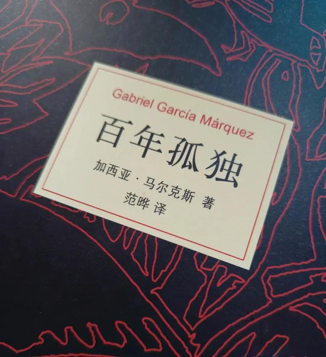 探寻家族与命运交织的无尽迷宫：《百年孤独》究竟告诉了我们什么