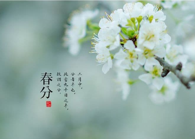 春分“五不做”：老一辈传下来的习俗，有道理吗？