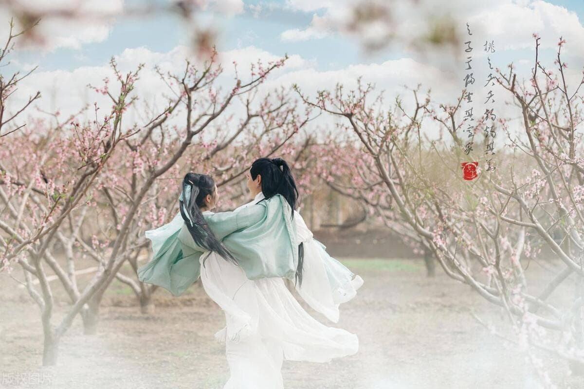 “桃花庵主”是我国哪位古代名人的称号，是唐伯虎还是苏东坡？