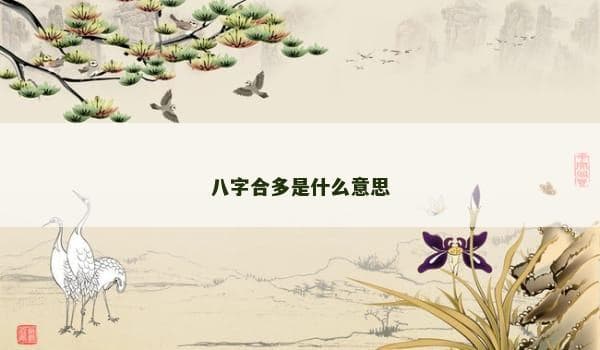 八字合多：命理学中的和谐密码