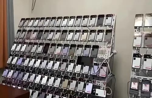 “黄牛”盯上博物馆 技术与制度等多重手段开启严打