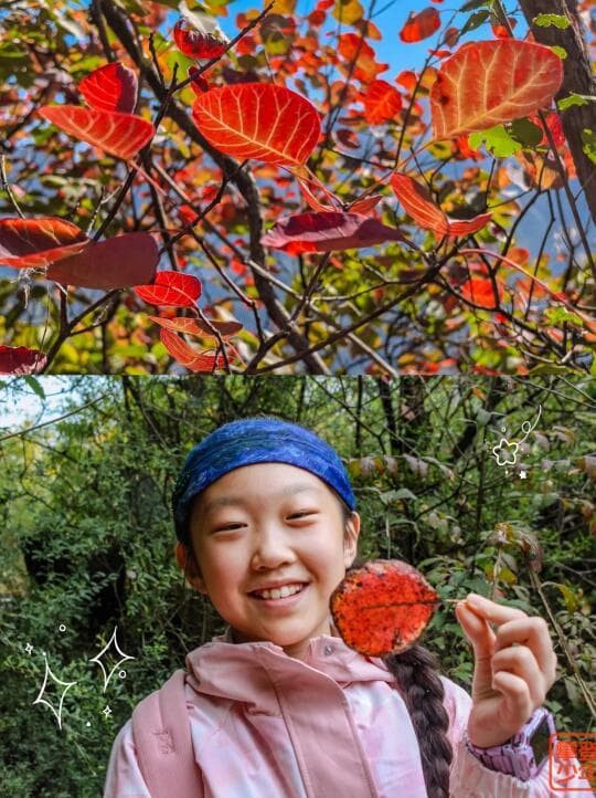 西安秋季最佳徒步指南：探秘17条绝美历史与自然风光路线