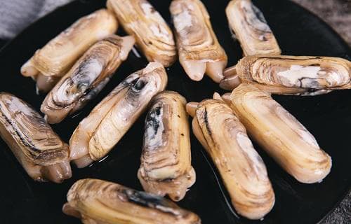 蛏子死了多久不能吃？一文详解蛏子的选购、清洗与保存技巧