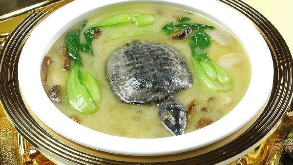 菠萝蜜红肉和黄肉有什么区别？教你辨别熟透还是变质