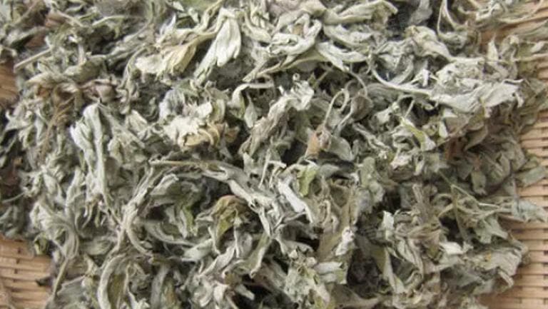 艾草熏蒸的功效和作用