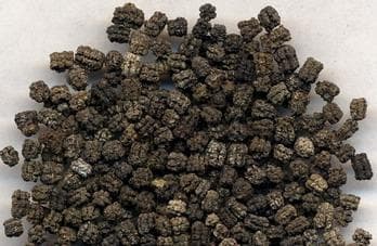 中药材“蚕砂”：祛风湿、和中化浊的天然良药