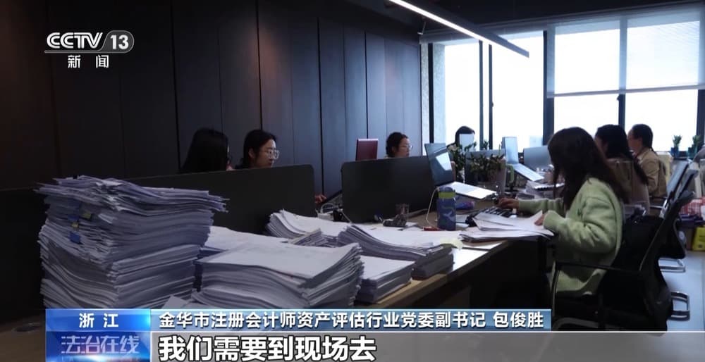 触目惊心！数据随意编、一天出报告……起底“失真”审计报告