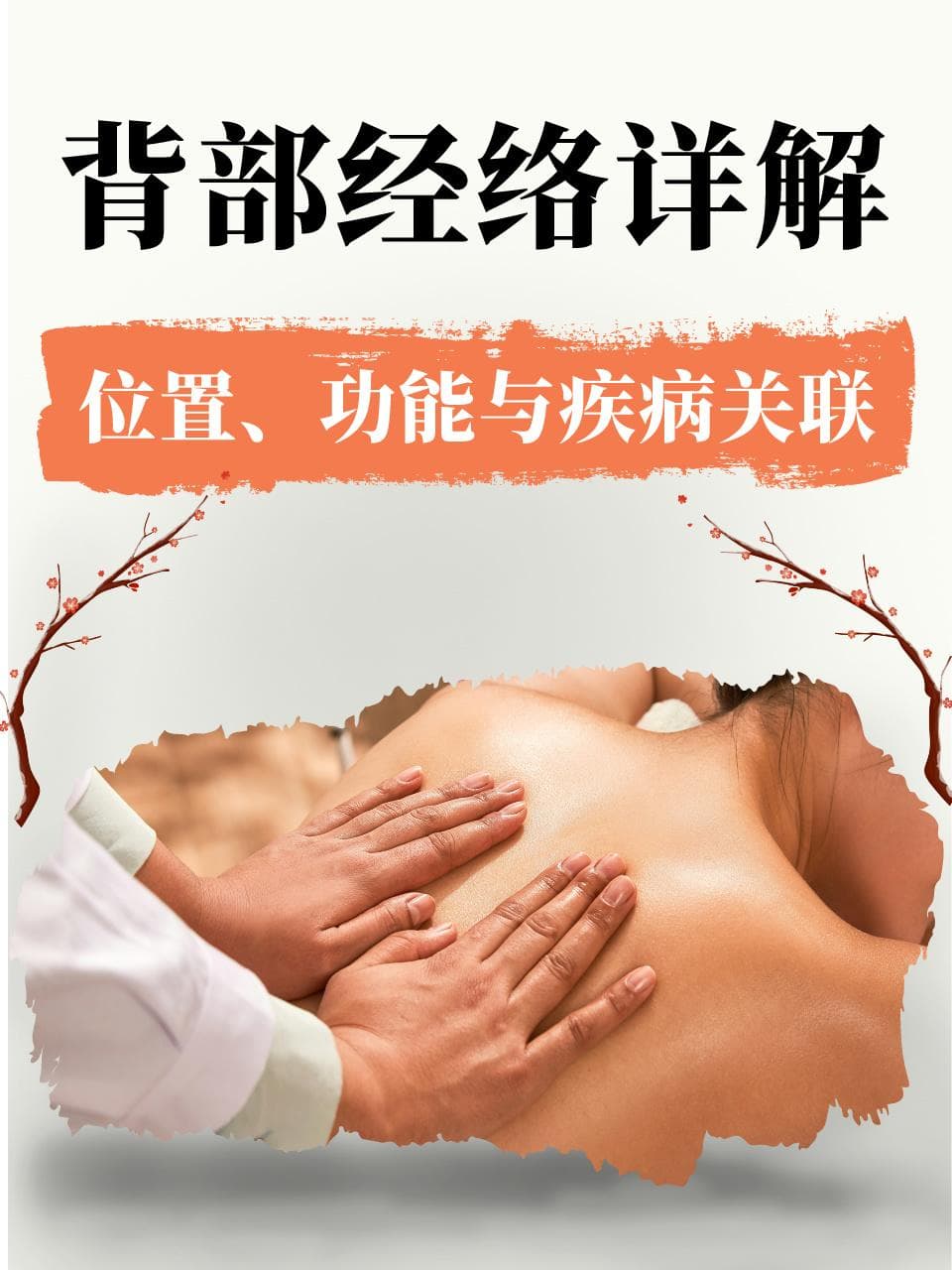 背部经络详解：位置、功能与疾病关联