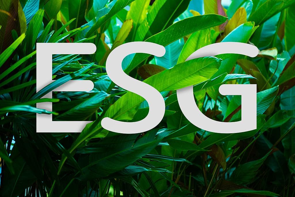 可持续方法论｜ESG由量变到质变，绿色教育需全方位发力