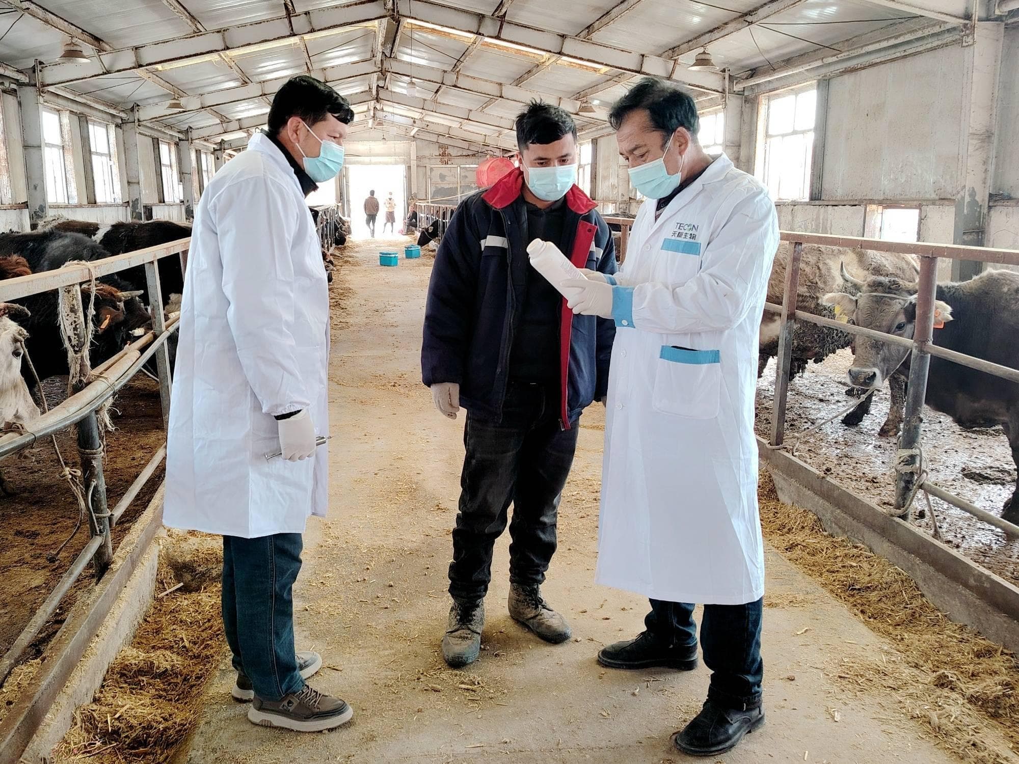英吉沙：强化春季动物防疫 筑起畜牧业“安全屏障”