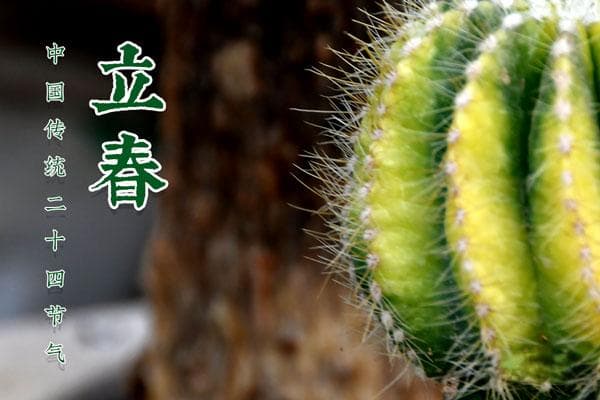 生肖到底是以立春还是以春节为标准？