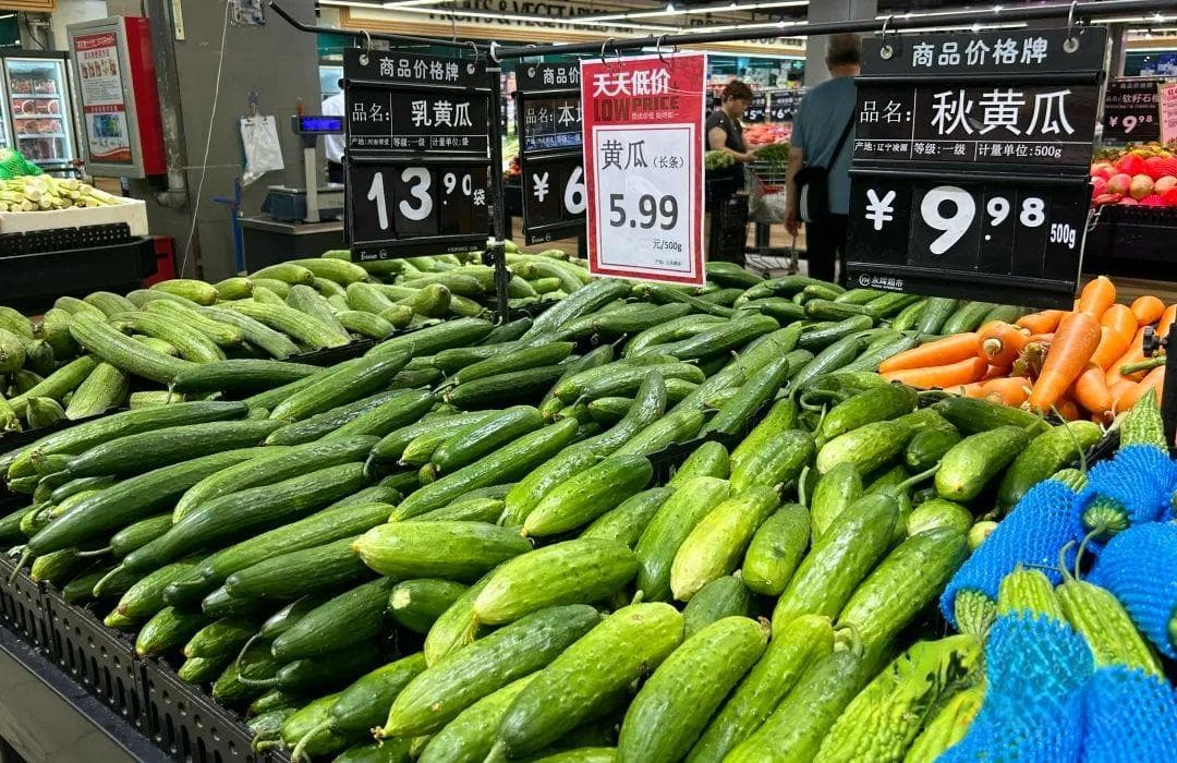 蔬菜涨价，为何黄瓜最猛？