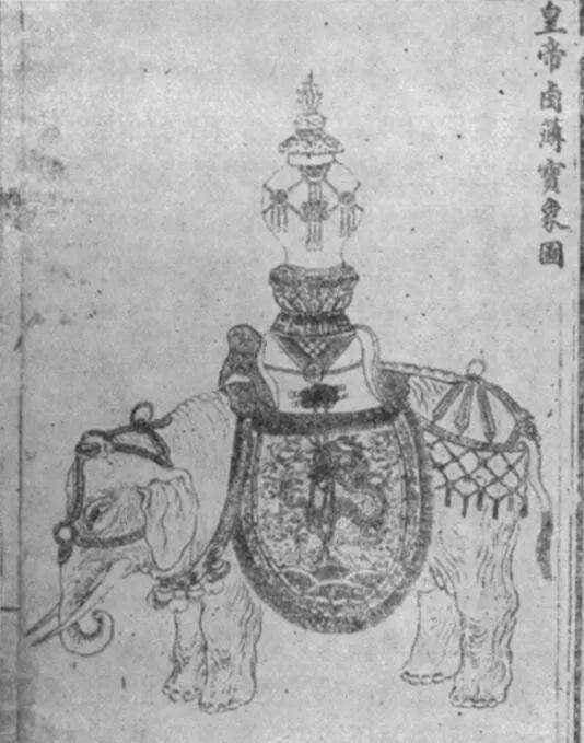 汉唐时期的祥瑞，宋朝的“害兽”，浅谈大象在古代地位的变化