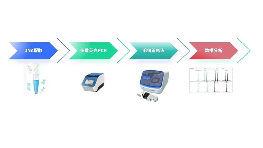 基于STR技术的产前诊断：从母源污染排查到染色体异常检测