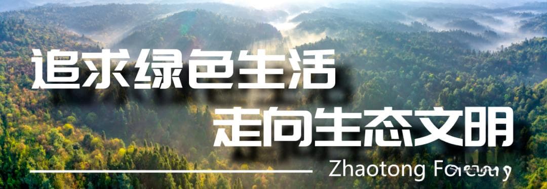 昭通大山包：一个世外桃源般的梦幻世界