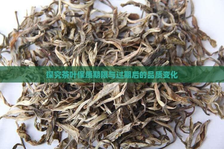 茶叶保质期指南：从储存条件到过期处理