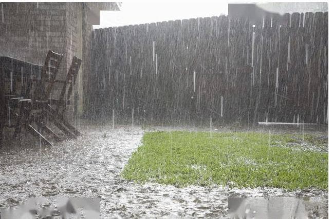 梅雨季防潮防霉除湿大法，早做准备不用愁