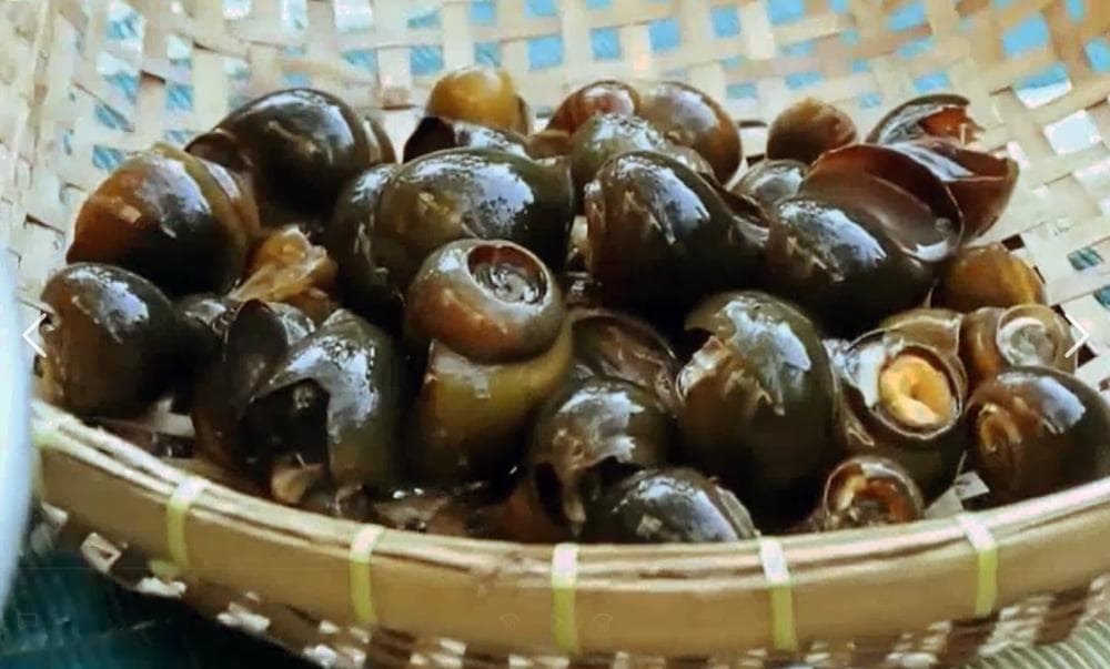 湖南某食品厂用福寿螺生产零食，销售福寿螺合法，但安全吗？